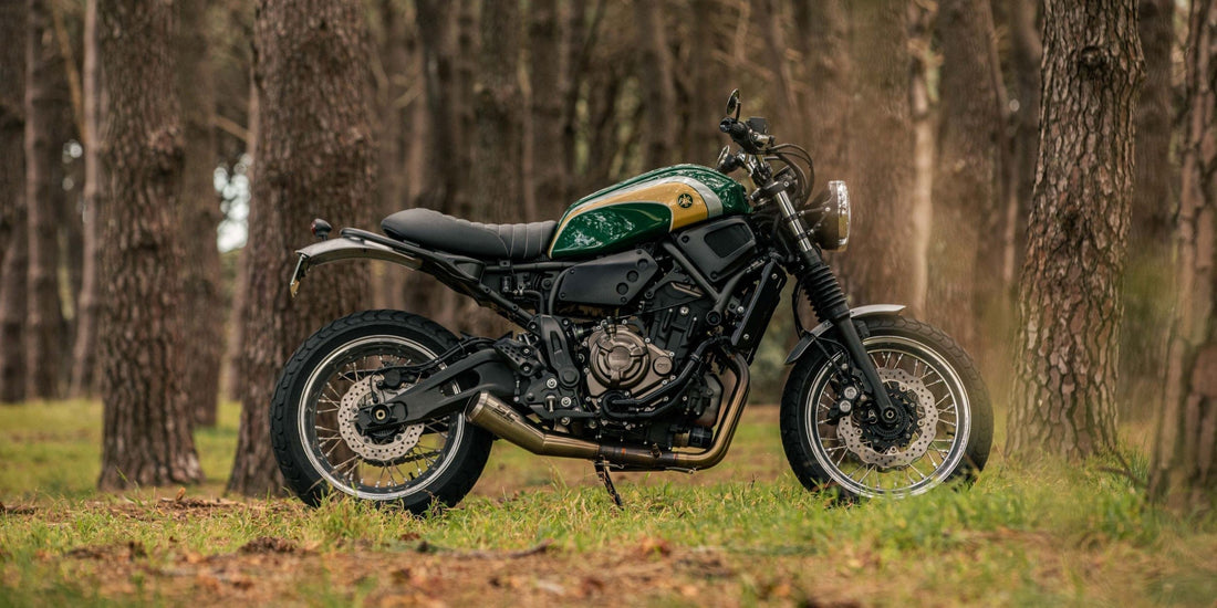 THE FORAGER - Yamaha XSR700