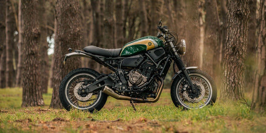THE FORAGER - Yamaha XSR700
