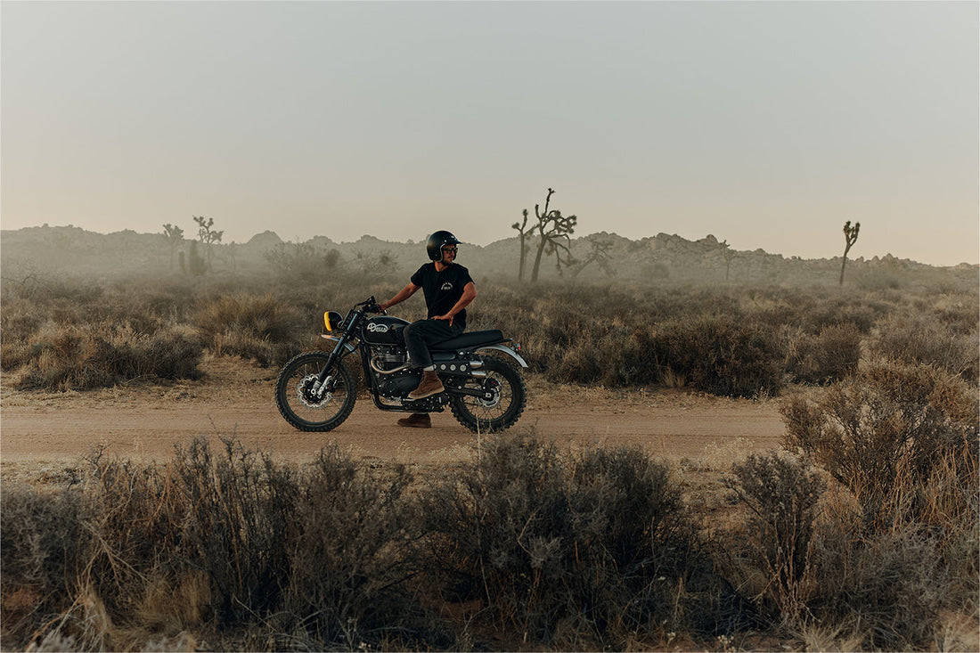 Ciaran's Bonneville T100